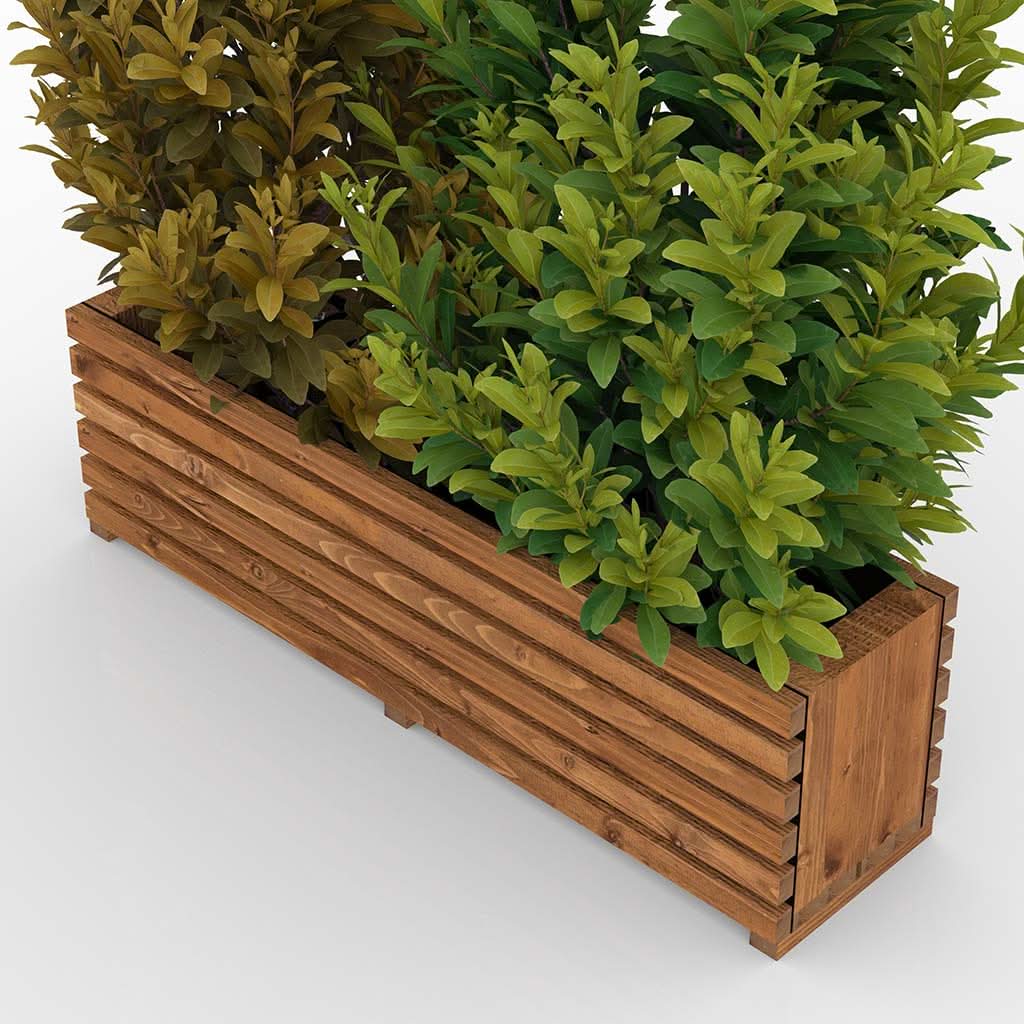 Sussex wooden raised bed garden planter in a UK garden
