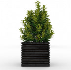 Square Sussex planter, slatted black, hand-built in Kent