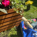 The Sussex Planter Outdoor Wooden Raised Bed