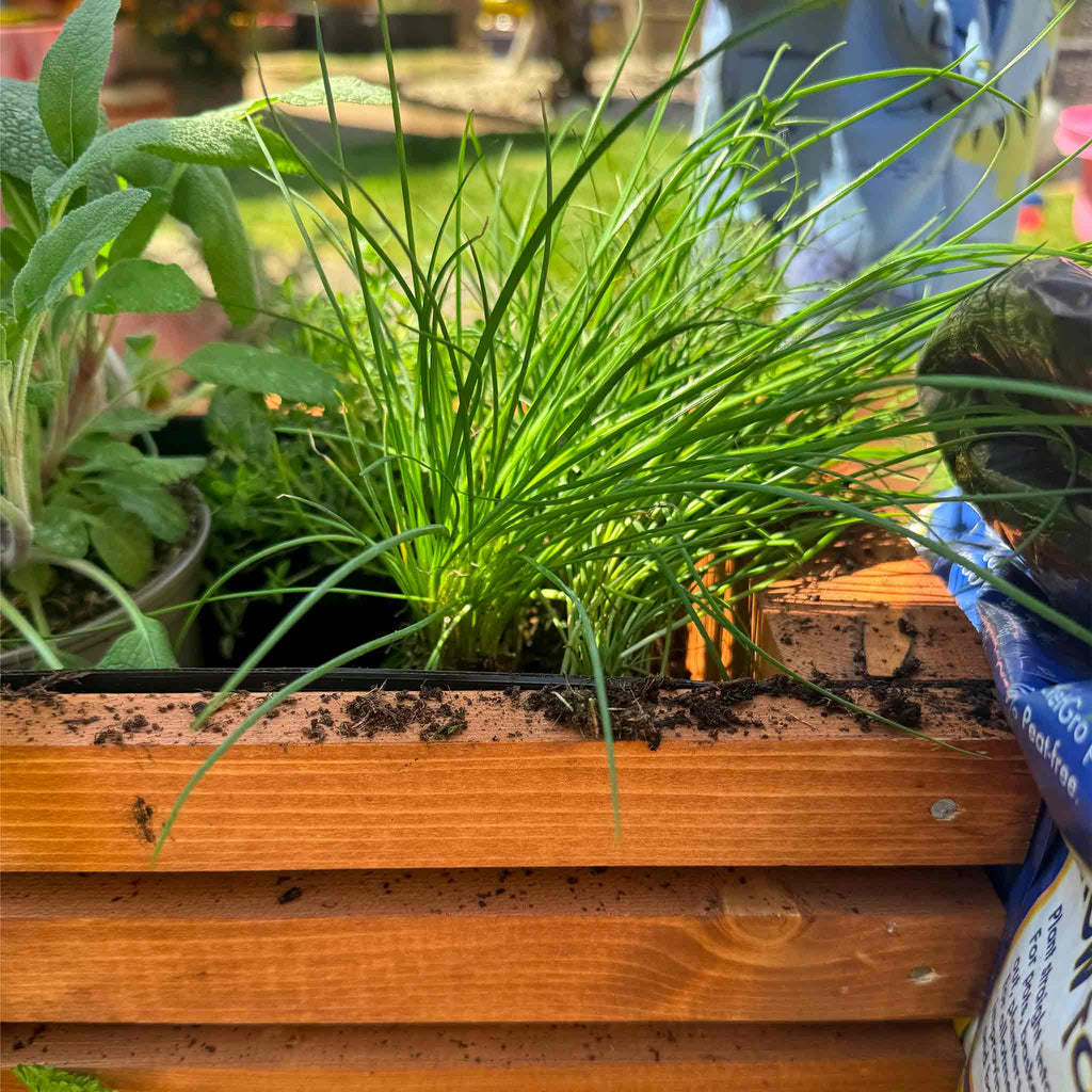 The Sussex Planter Outdoor Wooden Raised Bed