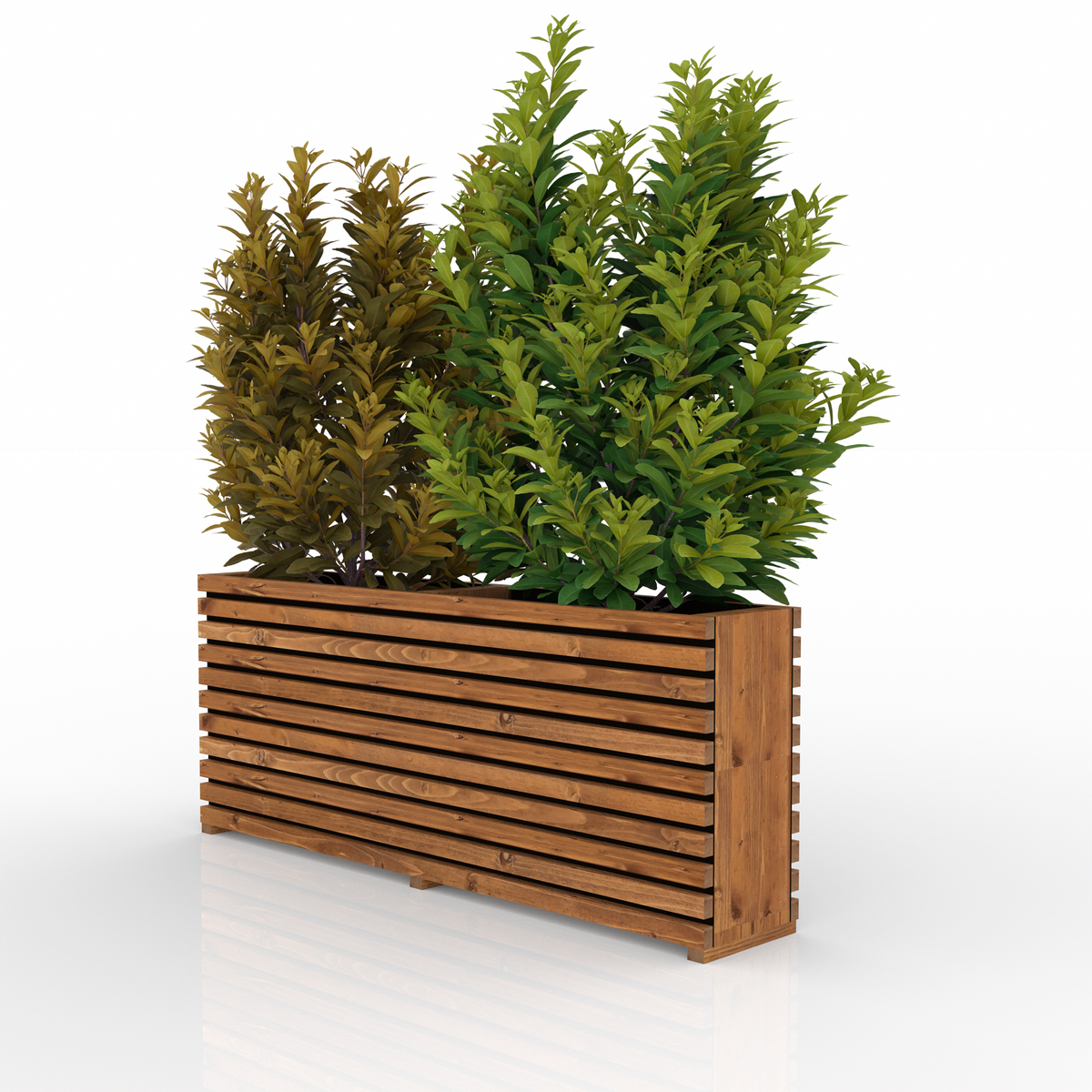 Tan Sussex planter fitted with one height extension and planted with shrubs, three-quarter view. Planter and plants not included.