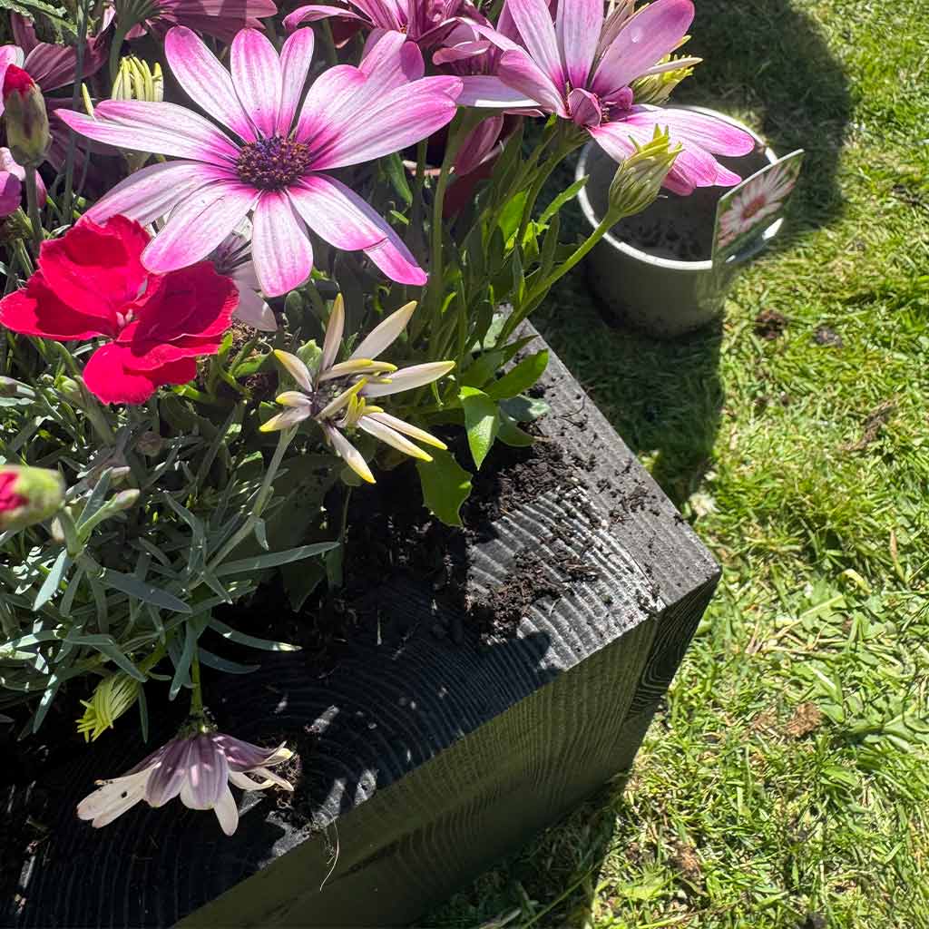 The Hastings Black Wooden Planter