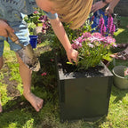The Hastings Black Wooden Planter