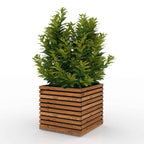 The Square Sussex Planter Tan