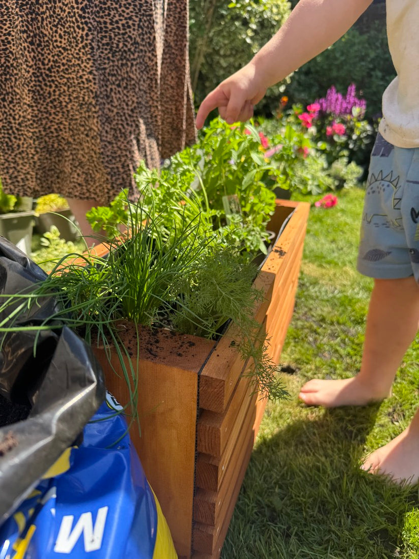 A hand snipping from a tan Sussex planter packed with chives, parsley and herbs, right by the back door.