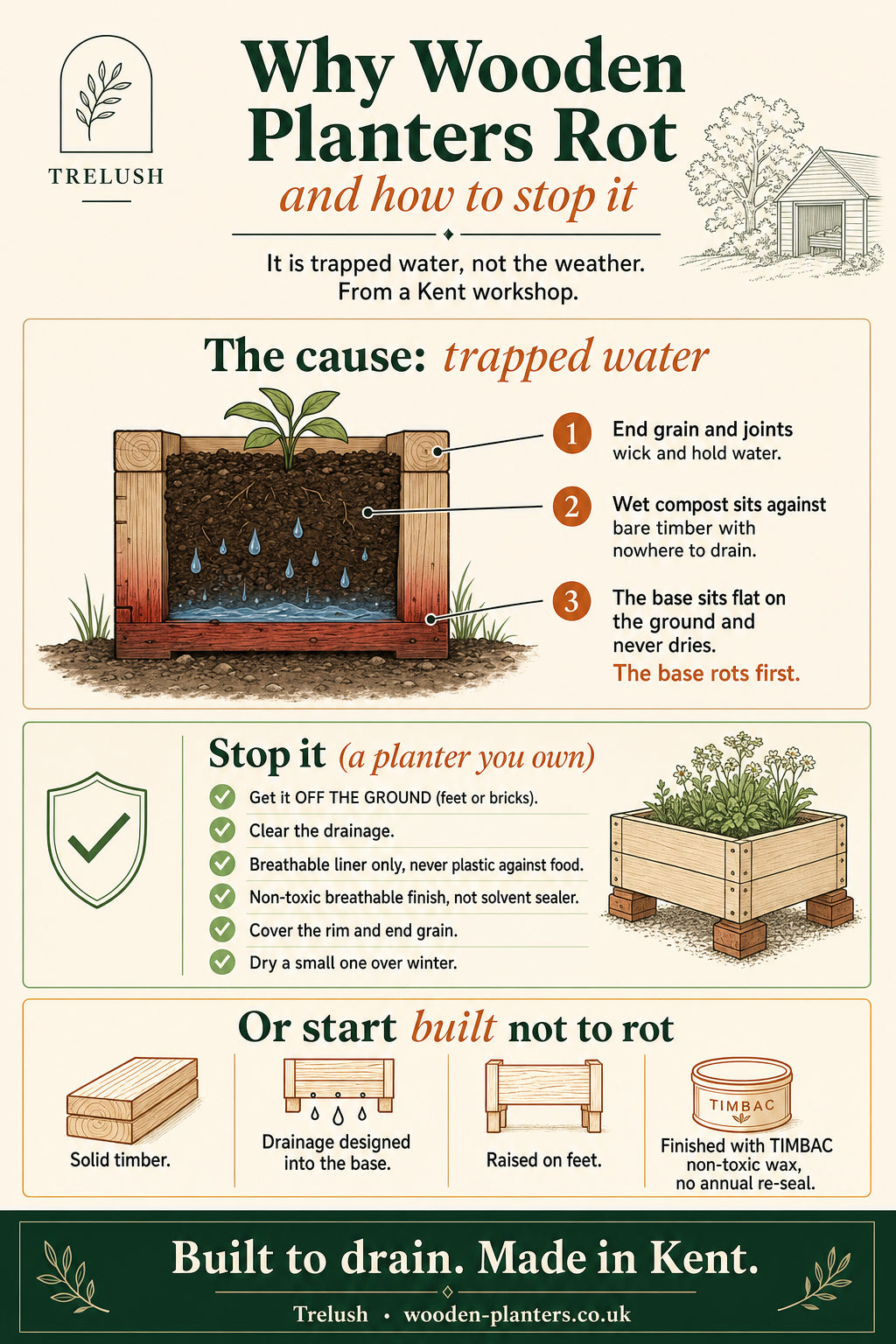 Infographic: why wooden planters rot (trapped water at the base, end grain, ground contact) and how to stop it, from Trelush.